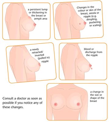 payudara telanjang