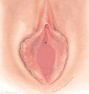 vagina perawan