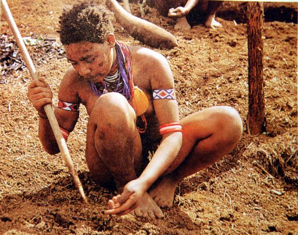 papua new guinea dancing girls