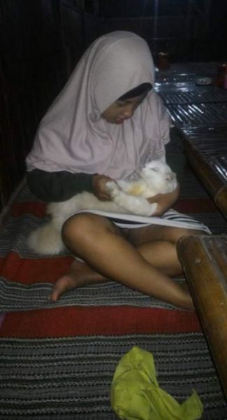 ngentot memek jilbab