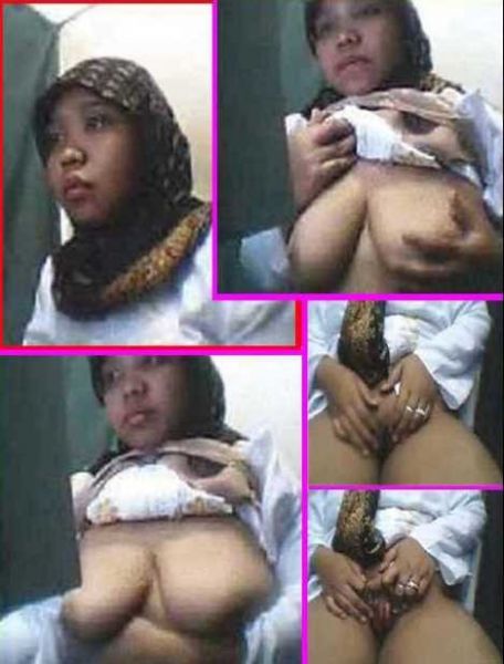 pembantu jilbab