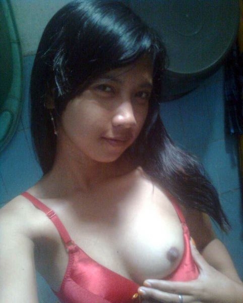 cewek sange wordpress