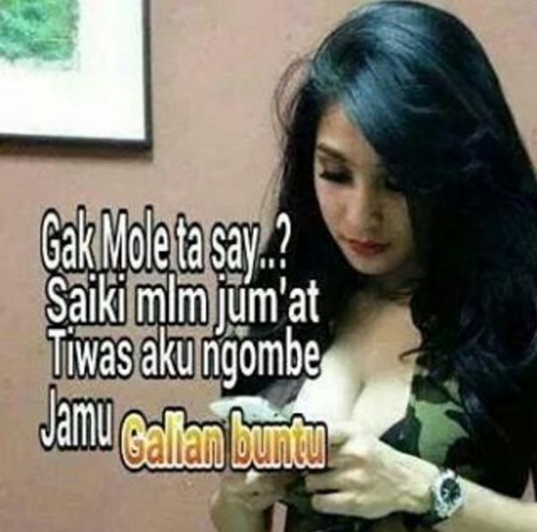 gambar memek maria ozawa