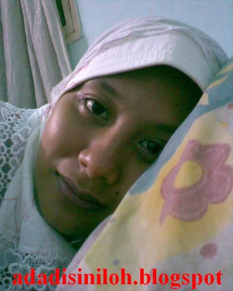 rogol jilbab