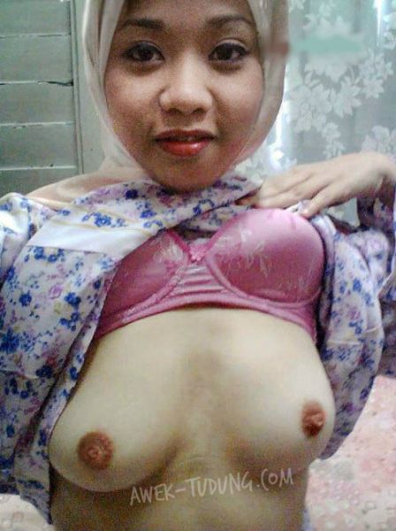 memek julia perez ngentot