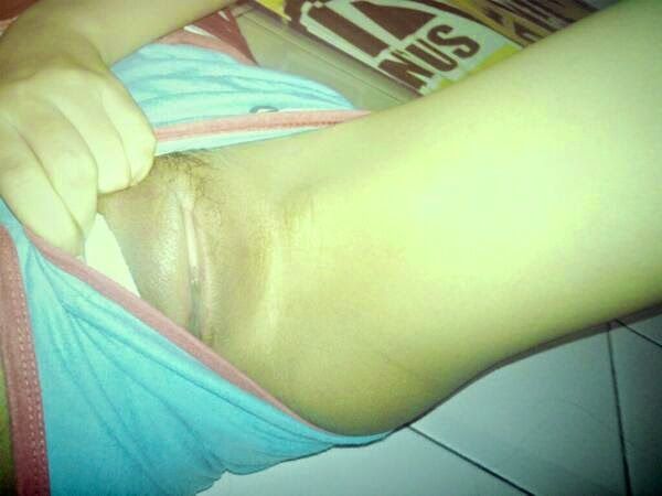 payudara memek