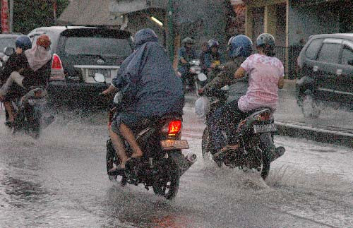 kontol basah