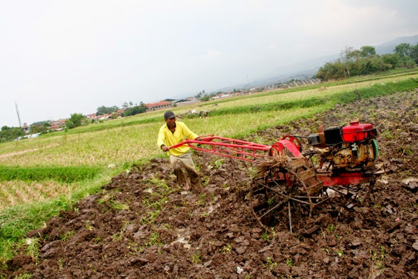 cewek abg jepang bugil