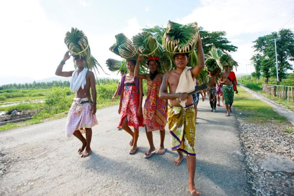 timor leste landscape